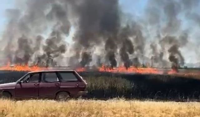 Burdur'da elektrik direğinden çıkan yangın 50 dönüm ekili alanı kül etti