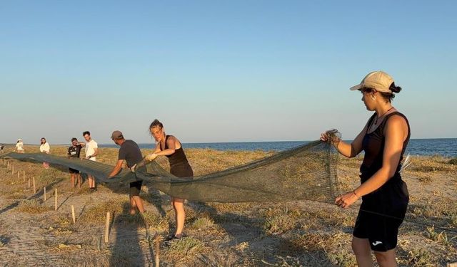 Avrupa'dan Mersin'e Kaplumbağa nöbeti: Genç gönüllüler sahilde doğayı korudu