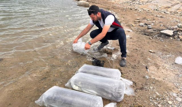 Gölhisar Gölü ve Yapraklı Barajı'na 5 bin balık bırakıldı