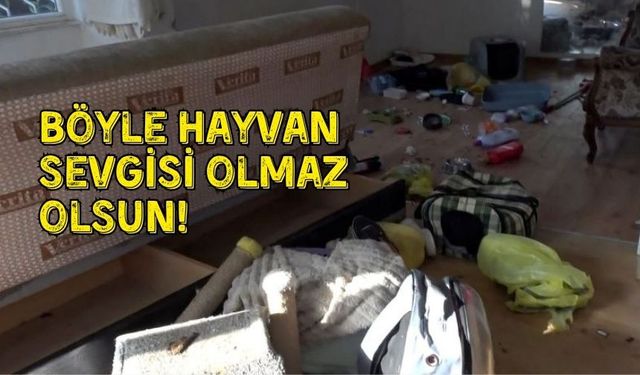 Kepez’de yine aynı manzara! Hayvan sevgisi değil eziyet