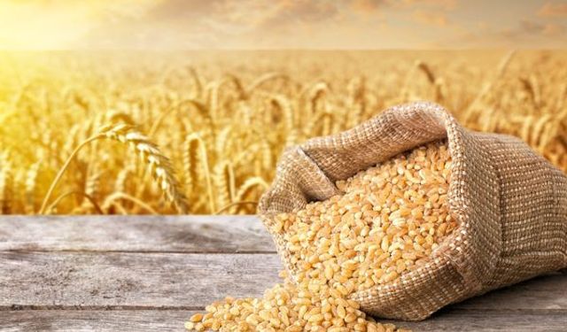 Antalyalı çiftçinin hububatı korunacak! ATB o proje için düğmeye basıyor