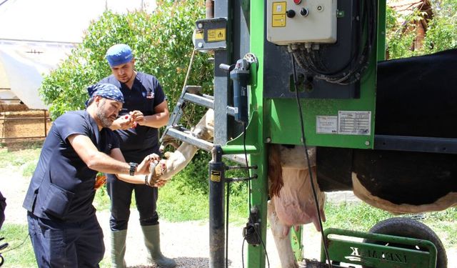 Antalya Büyükşehir Belediyesi'nden çobanlara destek