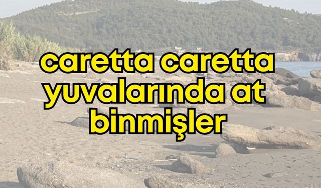Antalya’da ‘pes’ dedirtecek olay: Koruma altındaki caretta caretta yuvalarında at binmişler