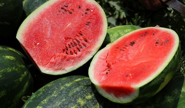 Türkiye'nin en iyi karpuzu nerede yetişir? Sosyal medyadaki tartışmaya son nokta
