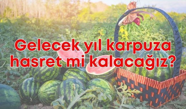 Gelecek yıl karpuza hasret mi kalacağız?