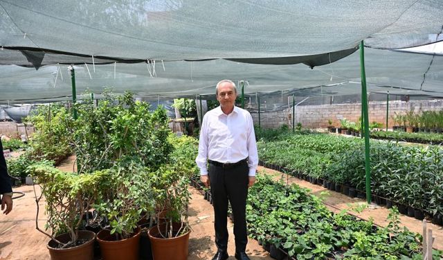 Kepez'in parkları kendi üretimiyle yeşeriyor