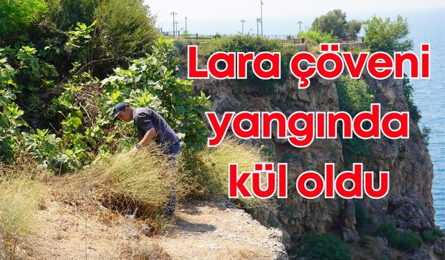 Dünyada sadece Muratpaşa'da yetişen Lara çöveni yangında kül oldu!