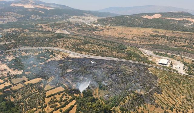 Muğla'da Stratonikia Antik Kenti'nde çıkan yangın söndürüldü