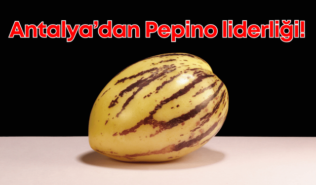 Antalya, 2024 Pepino üretiminde Türkiye birincisi oldu!