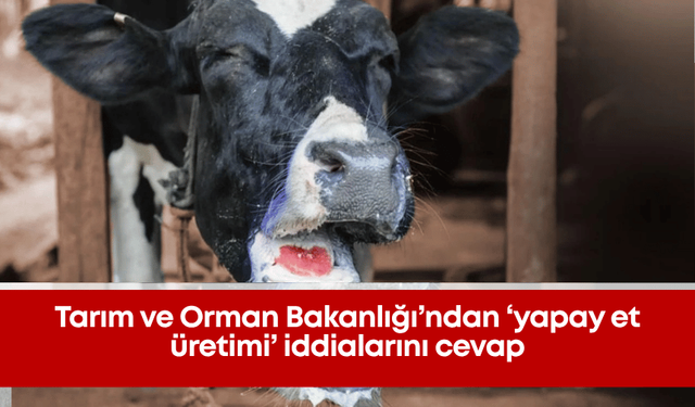 Tarım ve Orman Bakanlığı’ndan ‘yapay et üretimi’ iddialarını cevap