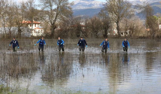 Muğla'da haşere avı: 13 ilçede ekipler sahada