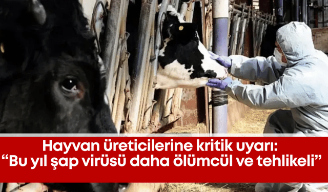 Hayvan üreticilerine kritik uyarı: “Bu yıl şap virüsü daha ölümcül ve tehlikeli”