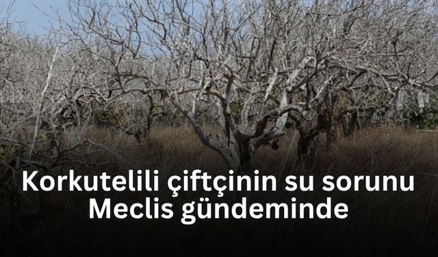 CHP’li Aykut Kaya, Korkuteli’nde çiftçinin su sorununu Meclis gündemine taşıdı