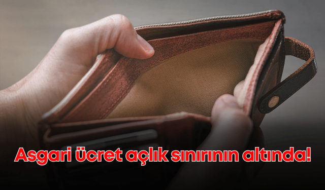 Yaşamanın bedeli giderek zorlaşıyor: Asgari ücret açlık sınırının altında