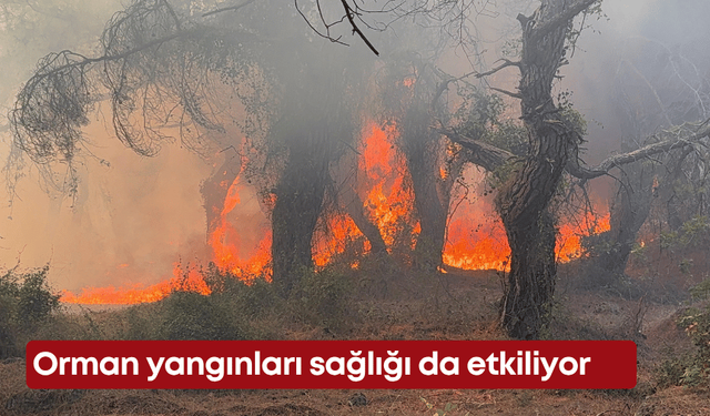 Orman yangınları sağlığı da etkiliyor