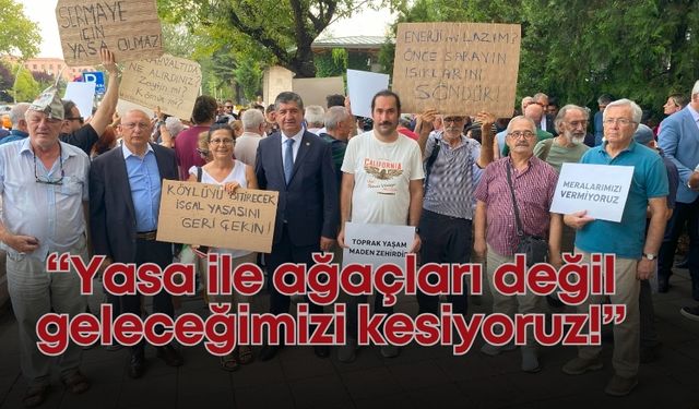 CHP’li Cavit Arı: “Yasa ile ağaçları değil geleceğimizi kesiyoruz!”