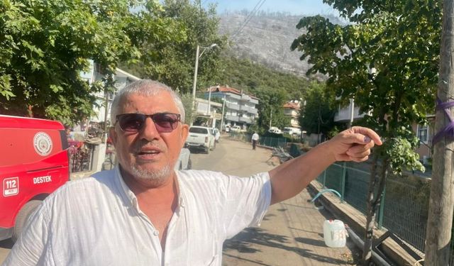 Bursa'da 100 hektar alan küle döndü: Yangın anlarını gözyaşıyla anlattı