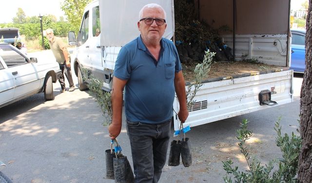 Antalya'da üreticilere 40 bin zeytin fidanı dağıtılacak
