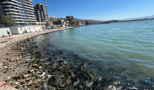 İzmir Körfezi'nde kötü koku ve balık ölümleri yeniden gündemde