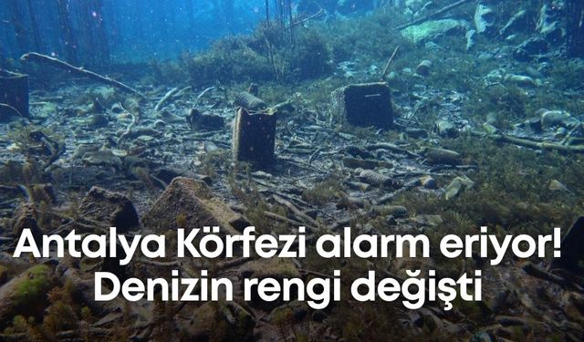 Antalya Körfezi alarm eriyor! Denizin rengi değişti
