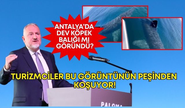 Antalya’da dev köpek balığı mı göründü? Turizmciler bu görüntünün peşinden koşuyor!