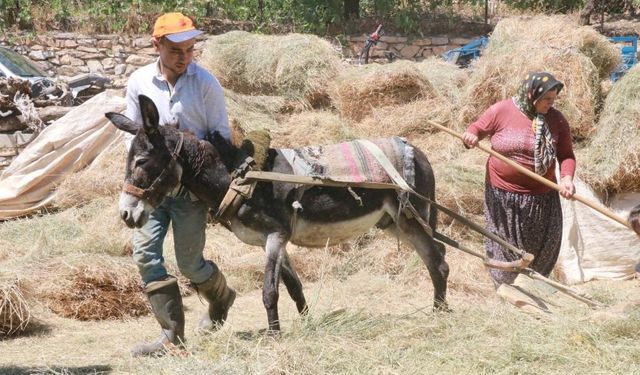 Ülkenin tahıl ambarı Konya'da kadim gelenekle saman üretmeye devam ediyorlar