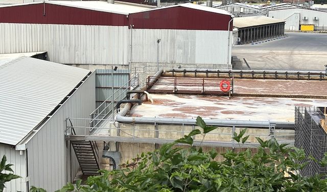 Tavuk fabrikasından sızan atık suları köylüyü hastanelik etti