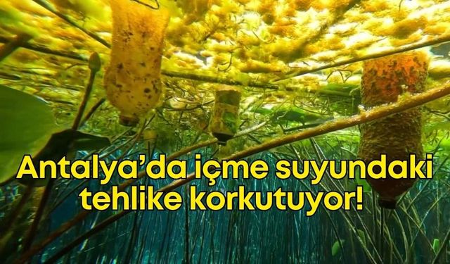 Kırkgöz Göleti'nde tehlike çanları çalıyor!