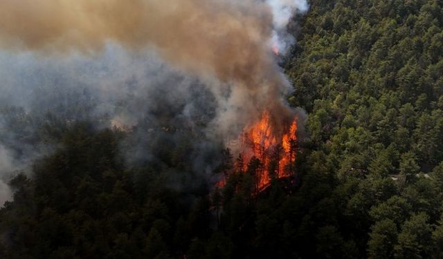 Karabük'te orman yangını