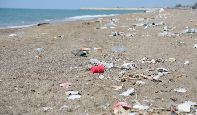 İsa Yıldırım, çöplüğe dönen Kumköy Sahili için çağrıda bulundu