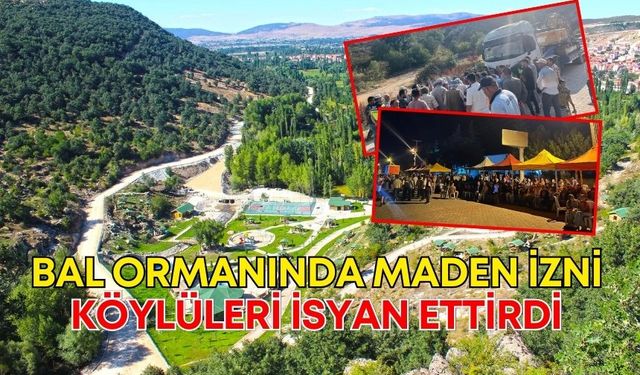 Bal ormanında maden izni köylüleri isyan ettirdi!