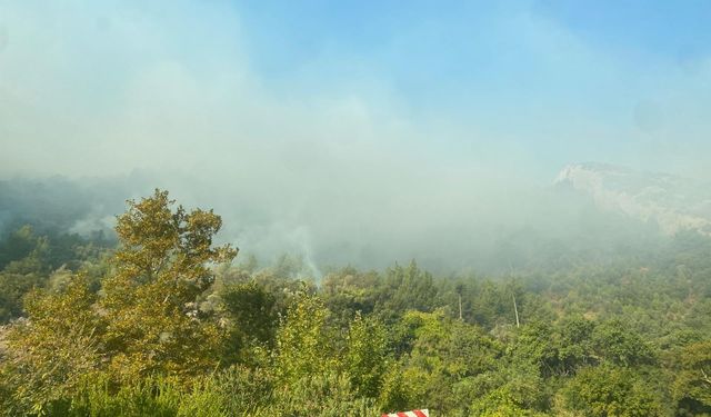 Mersin Anamur’da orman yangını devam ediyor