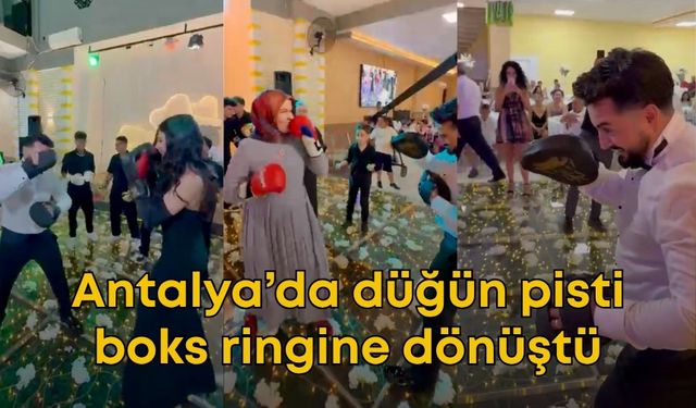 Böyle düğün görülmedi! Düğün pisti boks ringine dönüştü