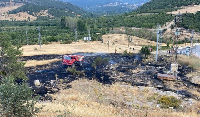 Eğirdir'de ilginç vaka: Kuşlar yangın çıkardı!