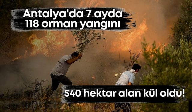 Antalya'da 7 ayda 118 orman yangını: 540 hektar alan kül oldu!