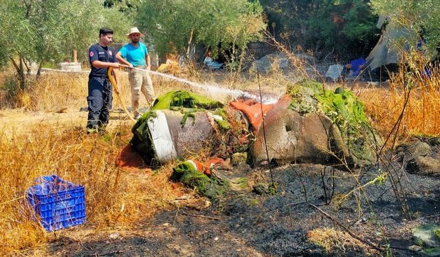 Kumluca'da zeytin bahçesi yangında zarar gördü