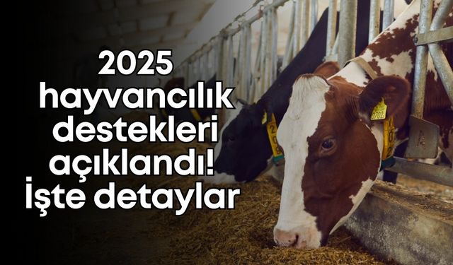 2025 hayvancılık destekleri açıklandı! İşte detaylar...