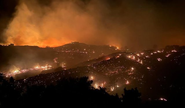 Türkiye'nin en büyük yangını tekrar gündemde! Cavit Arı'dan indirim talebi