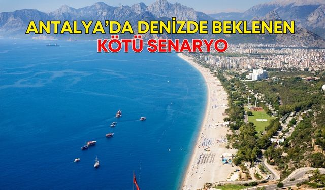 Antalya’da denizde beklenen kötü senaryo! Prof. Dr. Mehmet Gökoğlu uyardı