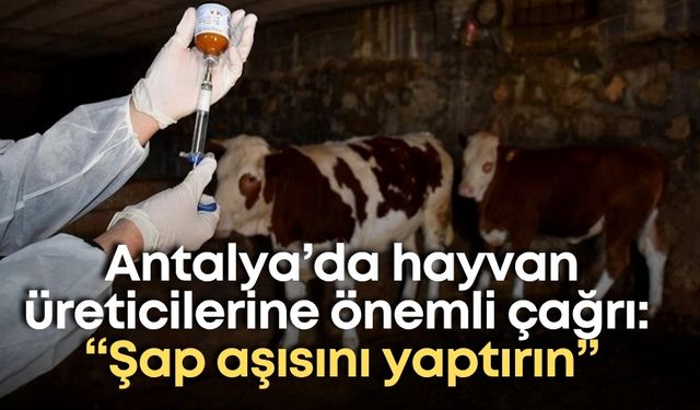 Antalya’da hayvan üreticilerine önemli çağrı: “Şap aşısını yaptırın”