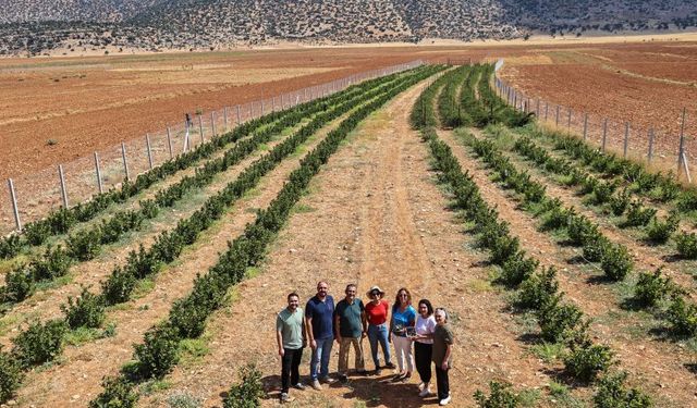 Korkuteli Beğiş'te Sulama Projesiyle tarım canlandı
