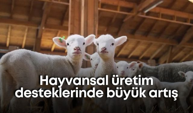 Hayvansal üretim desteklerinde büyük artış