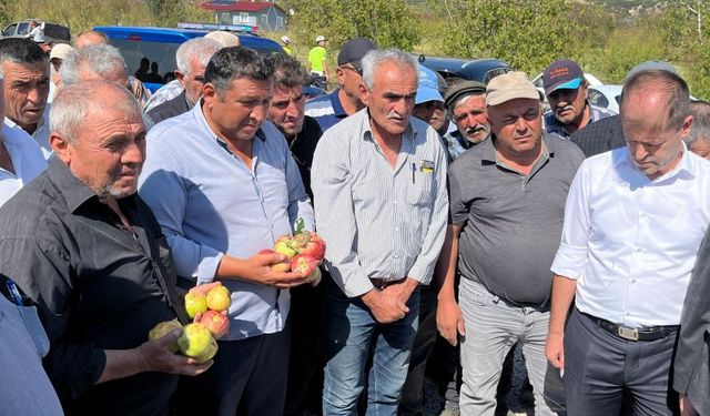 Isparta'da elmayı dolu vurdu