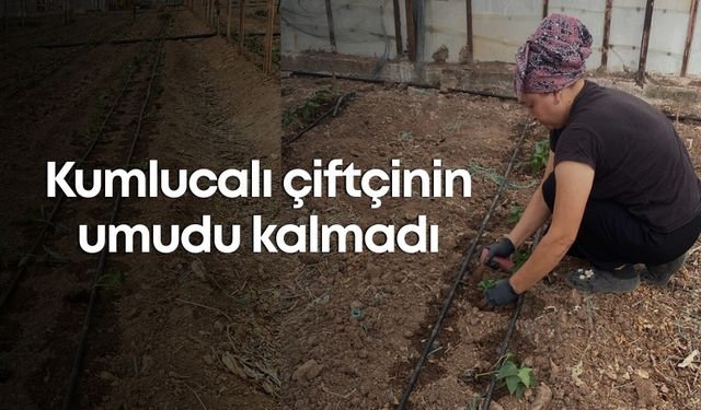 Kumlucalı çiftçinin umudu kalmadı