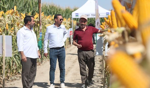 MAY Tohum, Konya'da yeni hibrit mısır çeşitlerini tanıttı