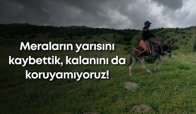 Meraların yarısını kaybettik, kalanını da koruyamıyoruz!