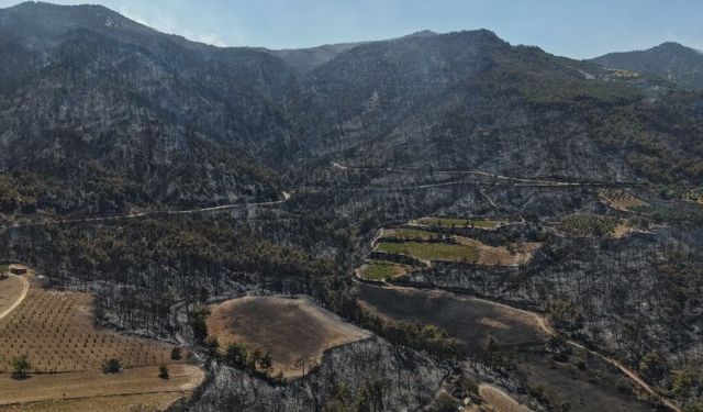 Denizli 6 gündür yanıyor! Dağlar yeşilden siyaha döndü