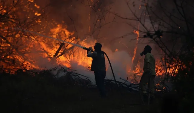 Antalya'da Çevre Mühendisleri'nden yangın uyarısı: Önlemler şimdiden alınmalı