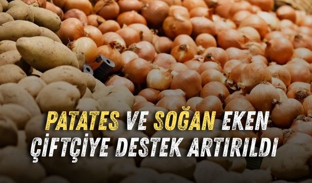 Patates ve soğan üreticisine destek