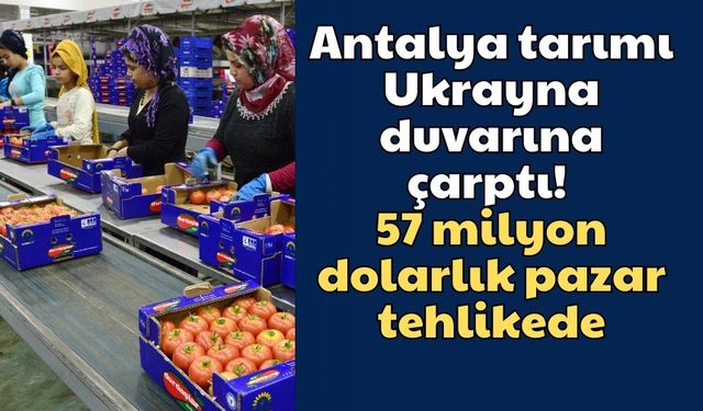 Antalya tarımı Ukrayna duvarına çarptı! 57 milyon dolarlık pazar tehlikede